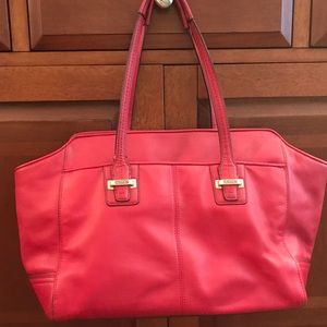 Great Red Coach Carryall